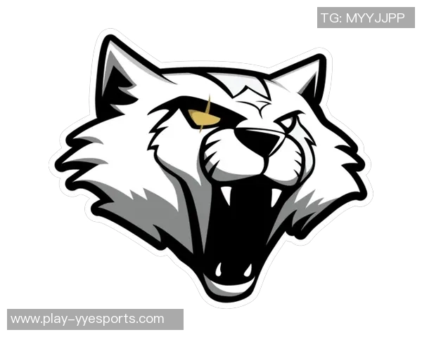 探讨CSGOEDG战队灵活性策略对比赛胜负的影响与启示